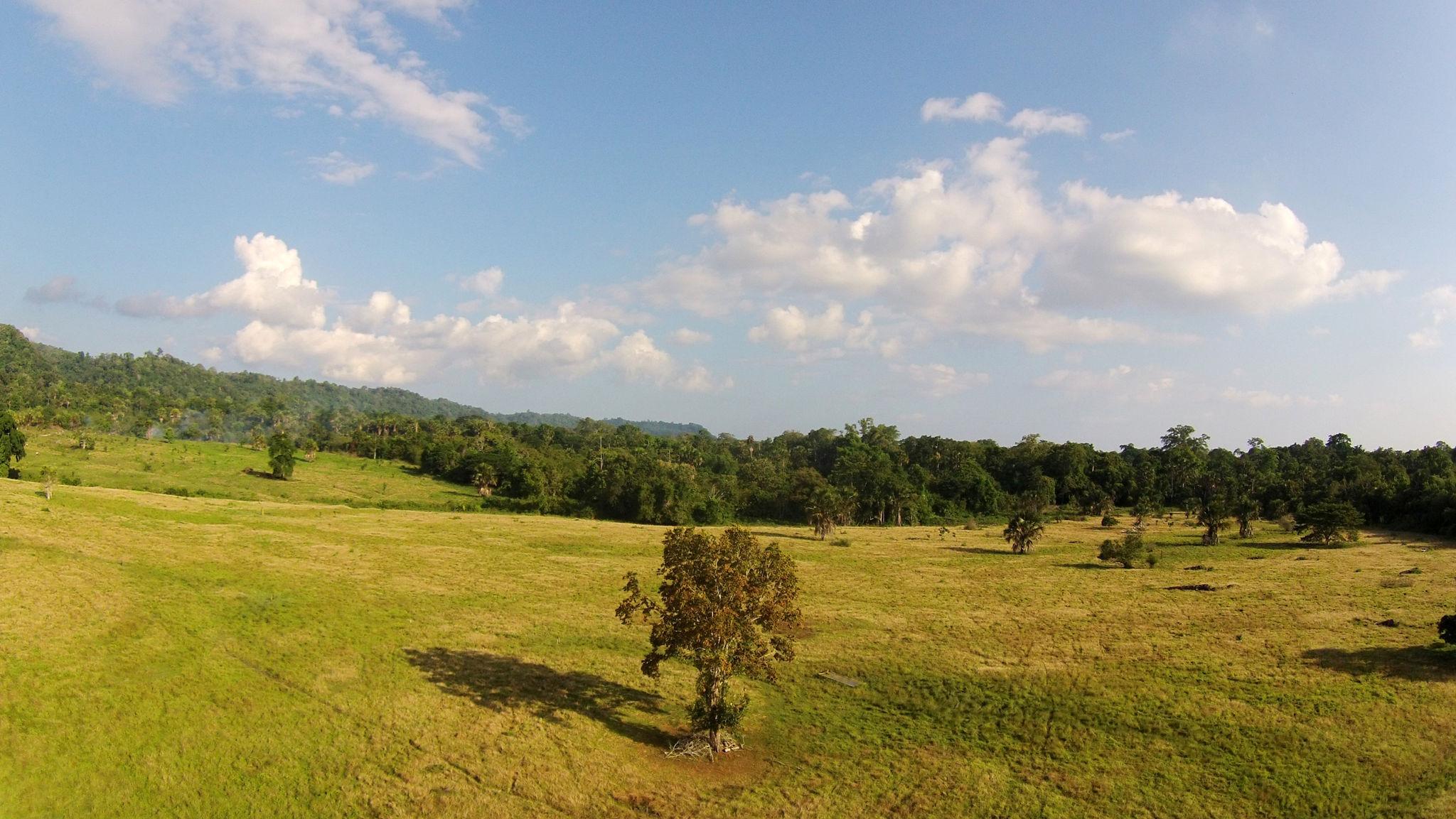 Alas Purwo National Park