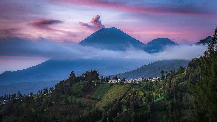 Teras Semeru